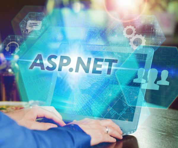 asp.net web application